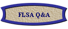FLSA Q&A